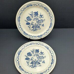 Corelle Blue Floral Dinner Plates Corning Danube Blue Onion Rimmed Plates